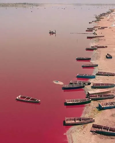 Visite des salins — Sénégal